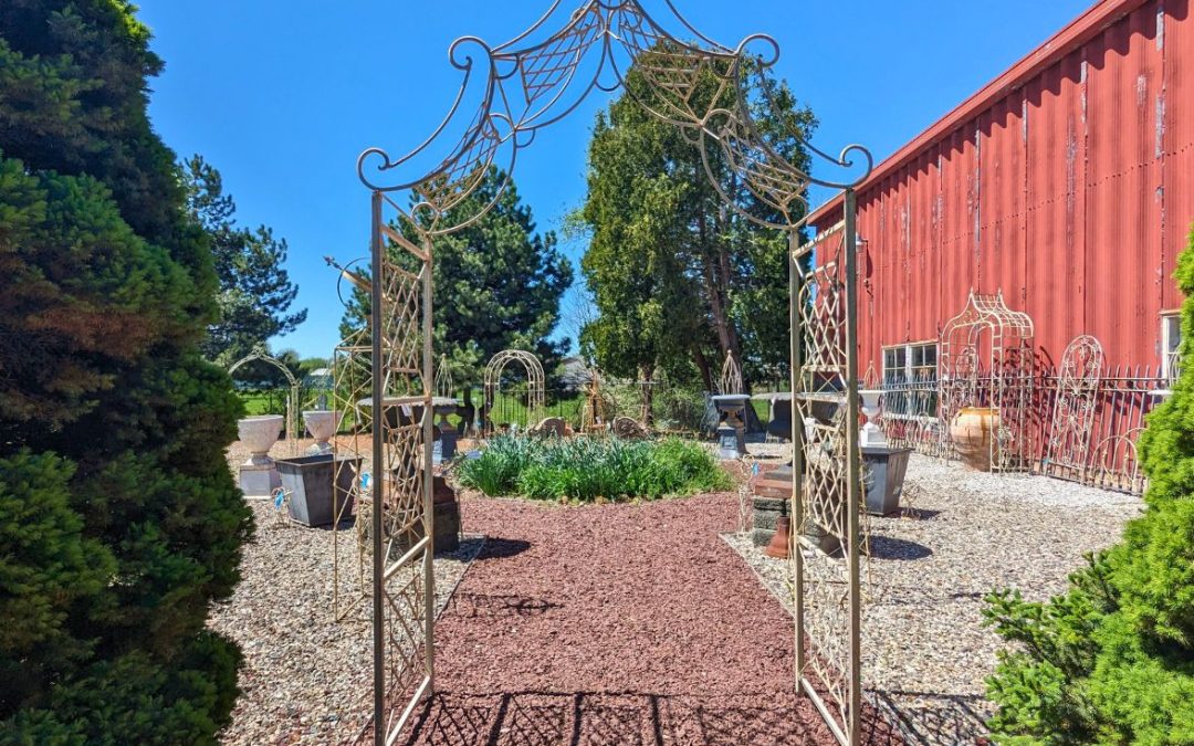 Outdoor & Garden
