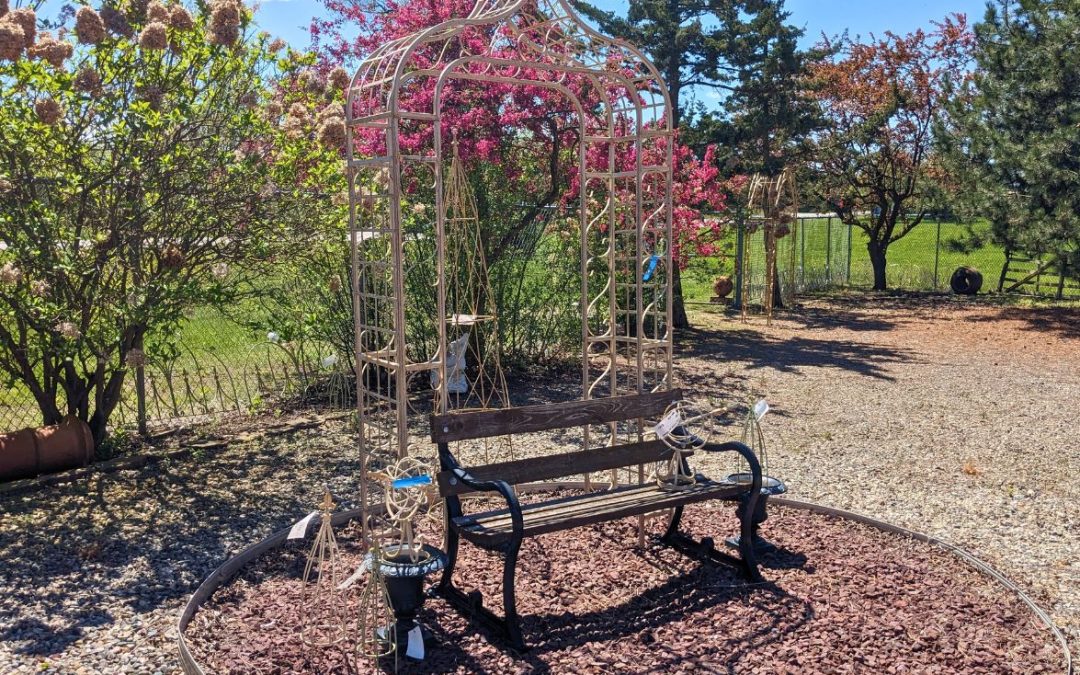 Outdoor & Garden