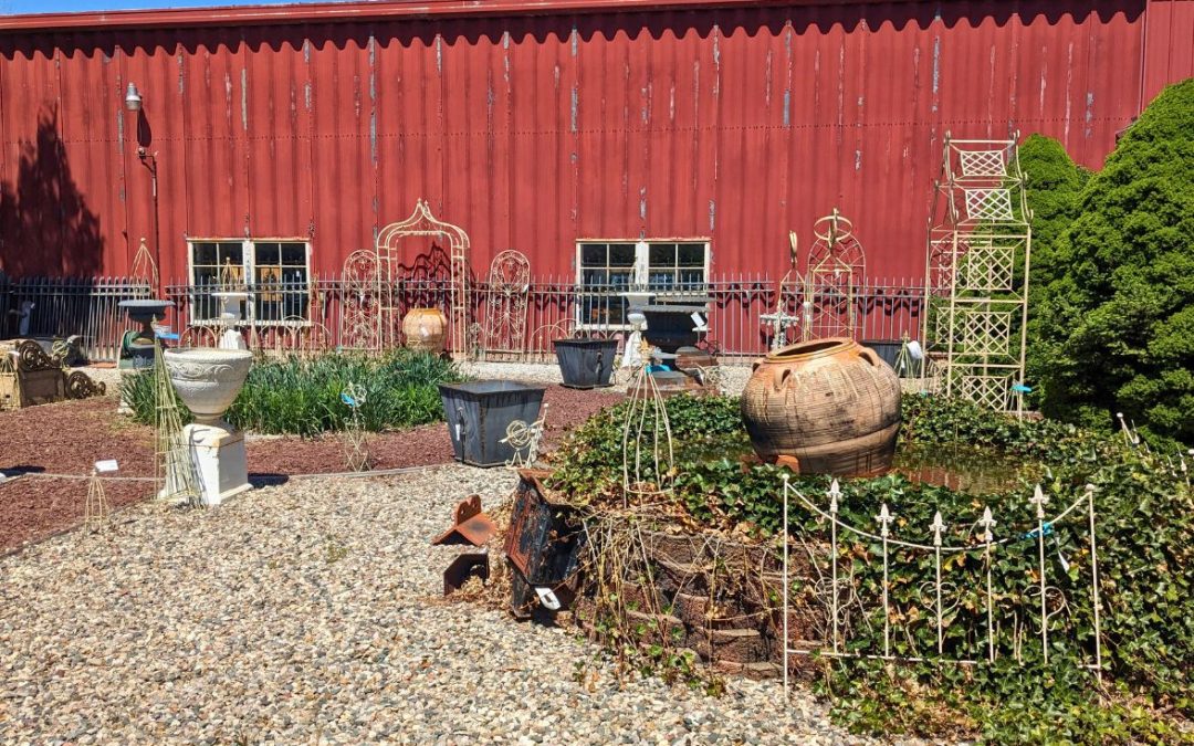Outdoor & Garden