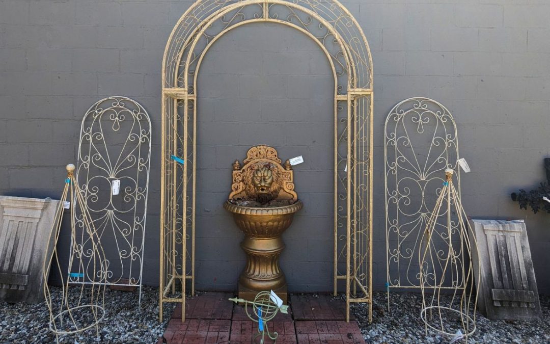Outdoor & Garden