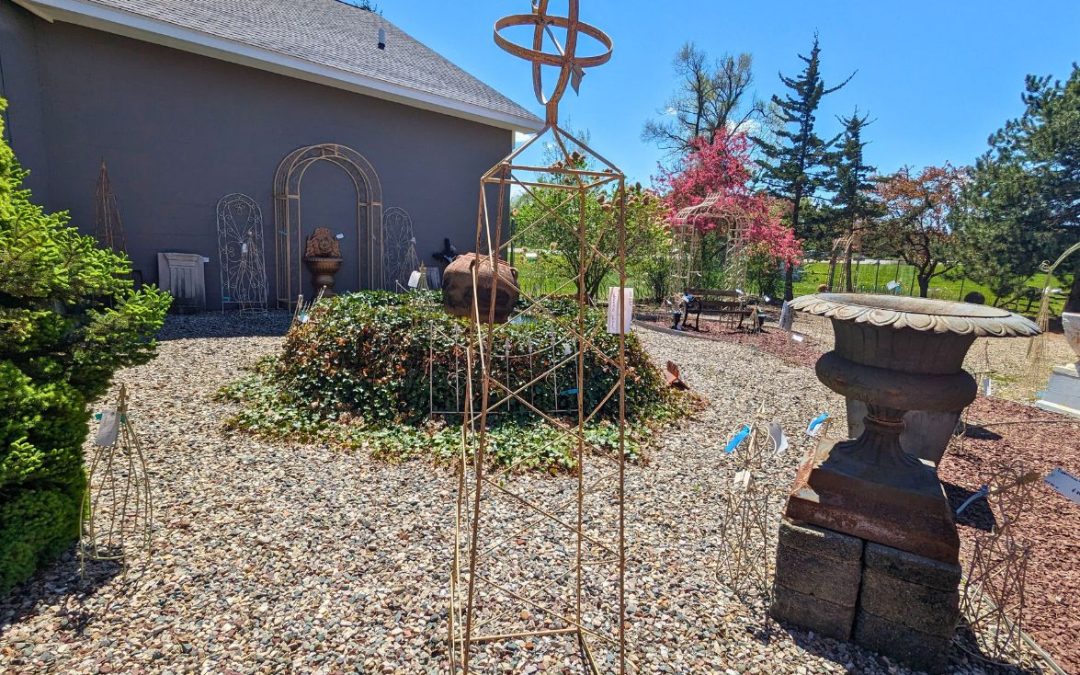 Outdoor & Garden