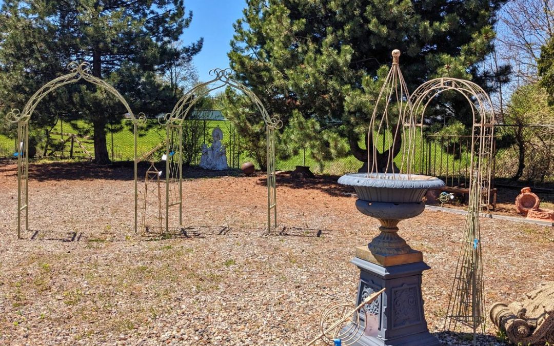 Outdoor & Garden
